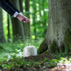 Urne wird an einem Baum im Wald beigesetzt